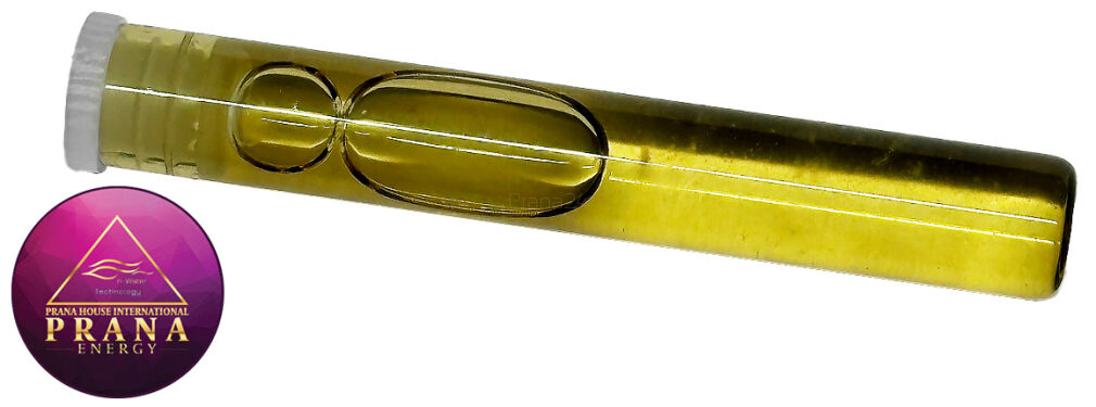 GANS BBG 1 - ARGILIN