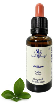 38. WILLOW / Wierzba biała 10/30 ml HealingHerbs
