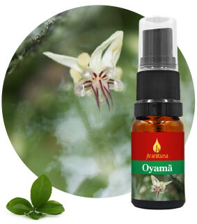 22. Oyamã 10 ml Ararêtama Rainforest Essences