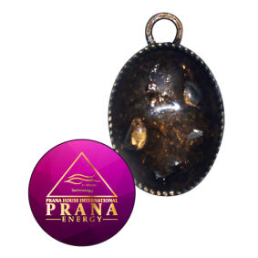 Zawieszka Prana Energy PE 10