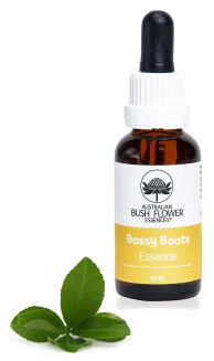 Bossy Boots - spray/krople 30 ml - Australian Bush Flower Essences -30% - 3