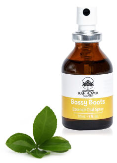 Bossy Boots - spray/krople 30 ml - Australian Bush Flower Essences -30% - 2