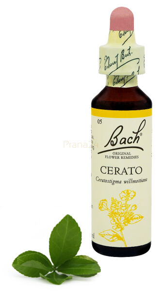 05. CERATO / Cerato 20 ml Nelson Bach Original Flower Remedies