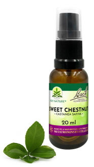 30. SWEET CHESTNUT / Kasztan jadalny - Kompozycja Bach Original Flower Remedies Nelson 20ml - 2