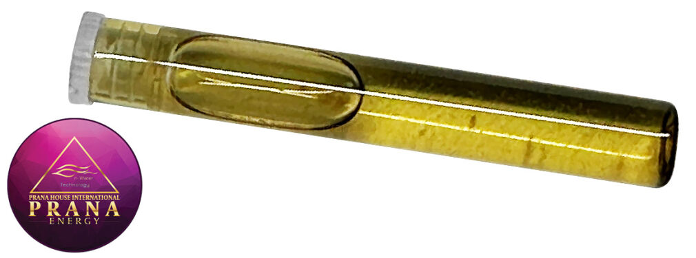 GANS BBG 20 - UROLESAN