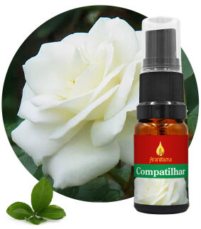 62. To Share Compatilhar 10 ml Ararêtama Rainforest Essences