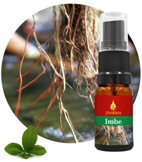 12. Imbe 10 ml Ararêtama Rainforest Essences