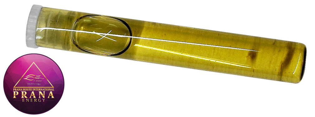 GANS BBG 21 - IMUCOMH