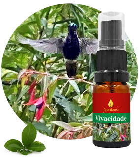 63. Vivacity Vivacidade 10 ml Ararêtama Rainforest Essences