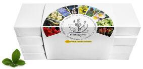 Zestaw esencji Bacha 40x 30 ml