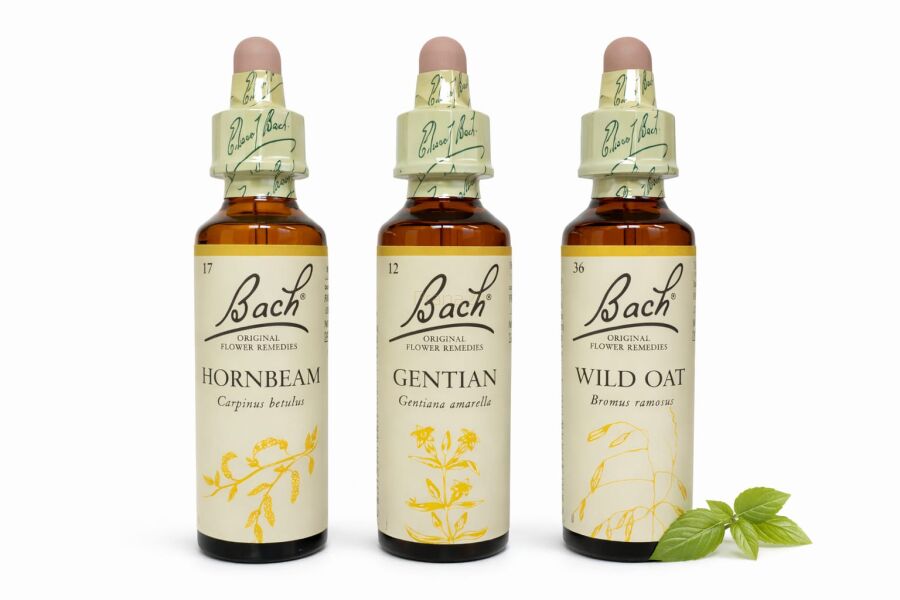 ‎ Zestaw wsparcia w odnajdywaniu sensu życia