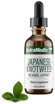 Japanese Knotweed NutraMedix 60ml - Wsparcie w boleriozie