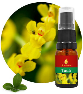 31. Tauá 10 ml Ararêtama Rainforest Essences