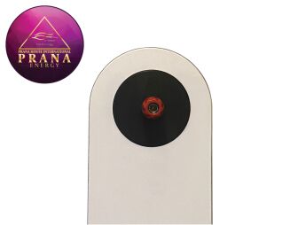 Rife Phanotron Box 40 cm - 4