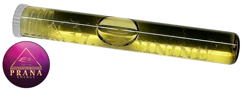 GANS BG 17 - ARGININE