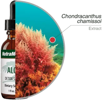 Algas NutraMedix 30ml - 2
