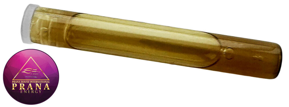 GANS K14 - PODAGRYCZNIK