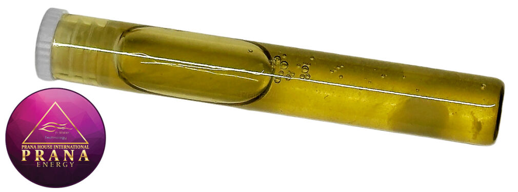 GANS BBG 13 - AMANITA