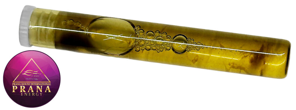 GANS BBG 5 - SCHWEDEN HERBS MAX