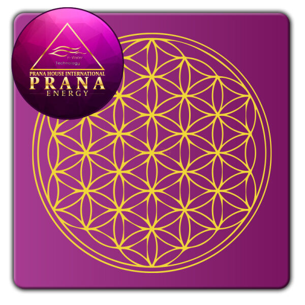 Płytka Tesla® prostokąt - Kwiat Życia - Purpura