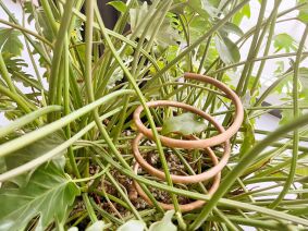 System dla roślin Lakhovsky