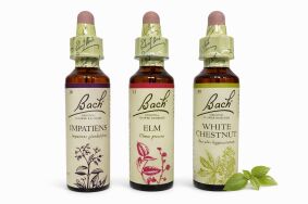 ‎ Zestaw wsparcia w stanie stresu