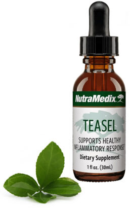 Teasel - Oset NutraMedix 30ml