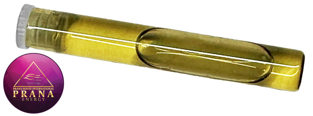 GANS BBG 4 - ORNITHIN