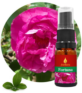 46. Fortuna 10 ml Ararêtama Rainforest Essences