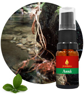 02. Assá 10 ml Ararêtama Rainforest Essences