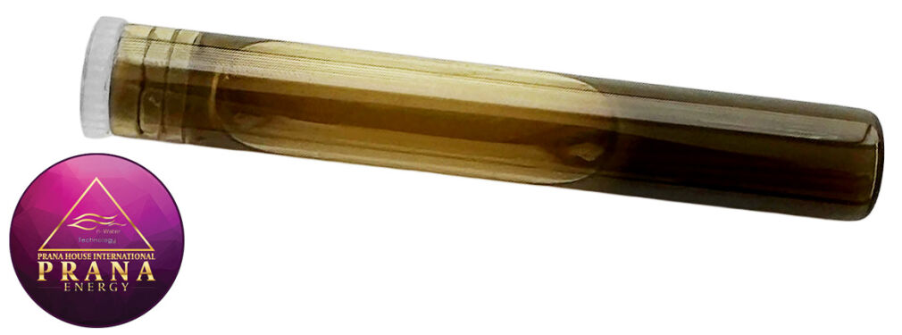 GANS K38 - POGAGRYCZNIK