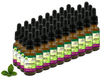 Zestaw 38 Kompozycji Bach Original Flower Remedies Nelson 20ml + 2 butelki - 3