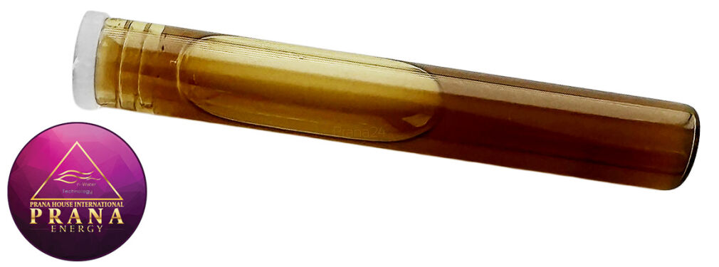 GANS K16 - MIŁORZĘB