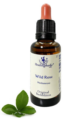 37. WILD ROSE / Dzika róża 10/30 ml HealingHerbs