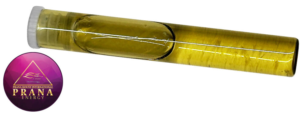 GANS BBG 22 - QUERCETYNA