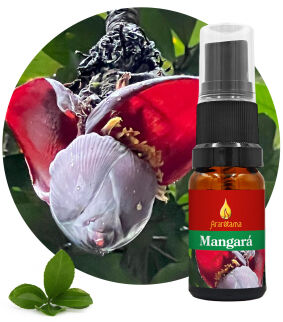 52. Mangará 10 ml Ararêtama Rainforest Essences