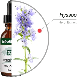 Ezov Emotional Balance NutraMedix 30ml - 2