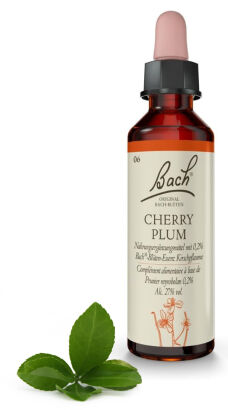 06. CHERRY PLUM / Śliwa wiśniowa 20 ml Nelson Bach Original Flower Remedies