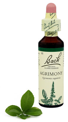 01. AGRIMONY / Rzepik pospolity 20 ml Nelson Bach Original Flower Remedies