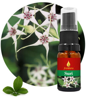 29. Suri 10 ml Ararêtama Rainforest Essences
