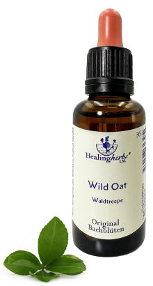 36. WILD OAT / Stokłosa gałęzista/ Dziki owies 10/30 ml HealingHerbs