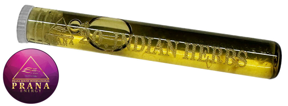 GANS BG 20 - INDIAN HERBS