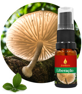 49. Liberation Liberação 10 ml Ararêtama Rainforest Essences