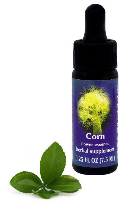 FES Corn 7,5 ml krople