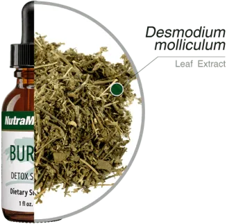 Burbur Detox NutraMedix 30ml - 2