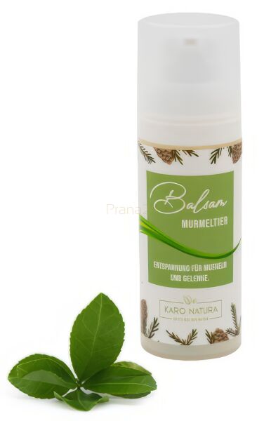 Balsam z sadła świstaka 50ml