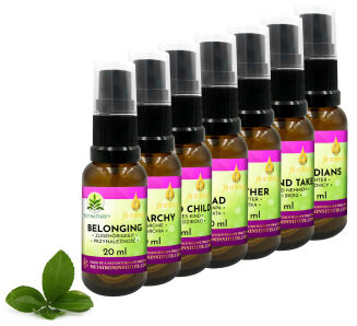 Zestaw kompozycji konstelacji systemowych rodzinnych Ararêtama  7 x 20ml - 4