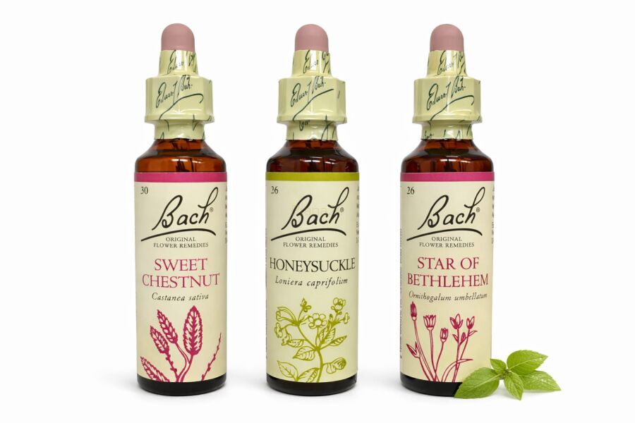 ‎ Zestaw wsparcia w doświadczeniu straty