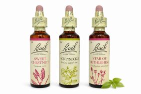 ‎ Zestaw wsparcia w doświadczeniu straty