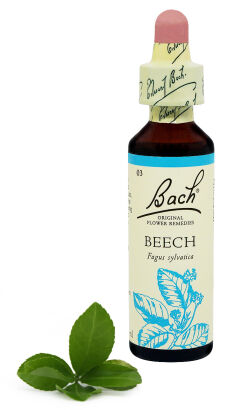 03. BEECH / Buk pospolity / czerwony 20 ml Nelson Bach Original Flower Remedies